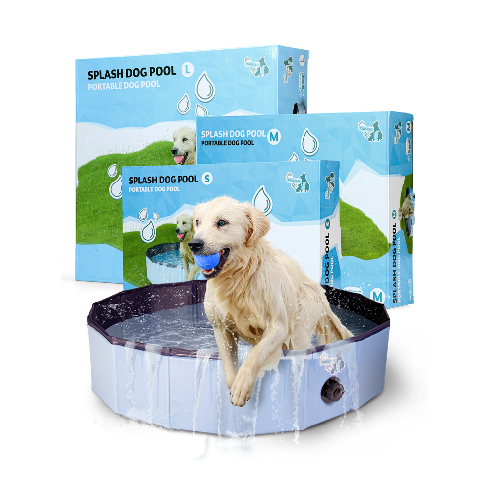 Piscina CoolPets para perros 80x20