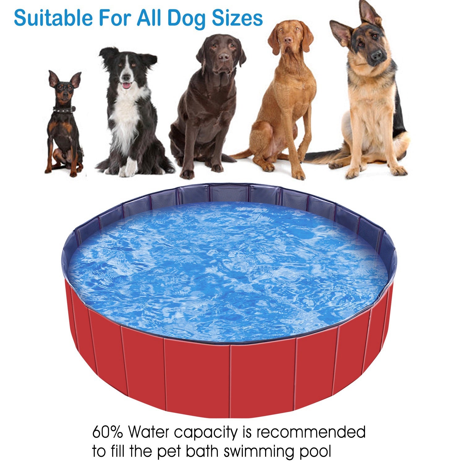 Piscina portátil XL, para nuestros grandotes