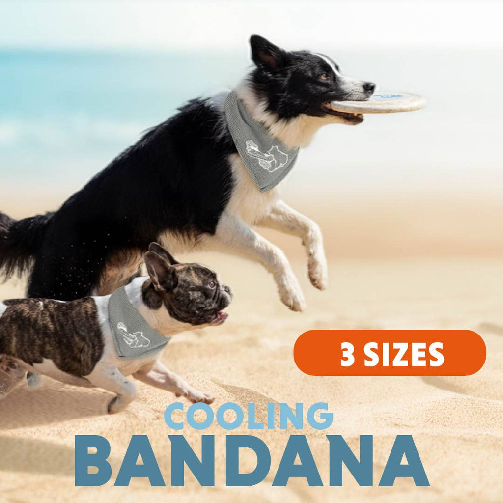 Coolpets Bandana refrigerante beige en tres tamaños