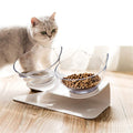 Bebedero y comedero ergonómico: comer con una buena postura - Doggy's corner