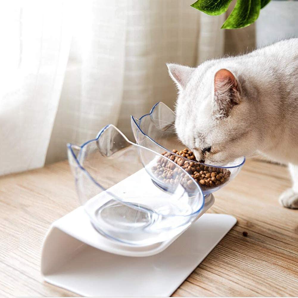 Bebedero y comedero ergonómico: comer con una buena postura - Doggy's corner