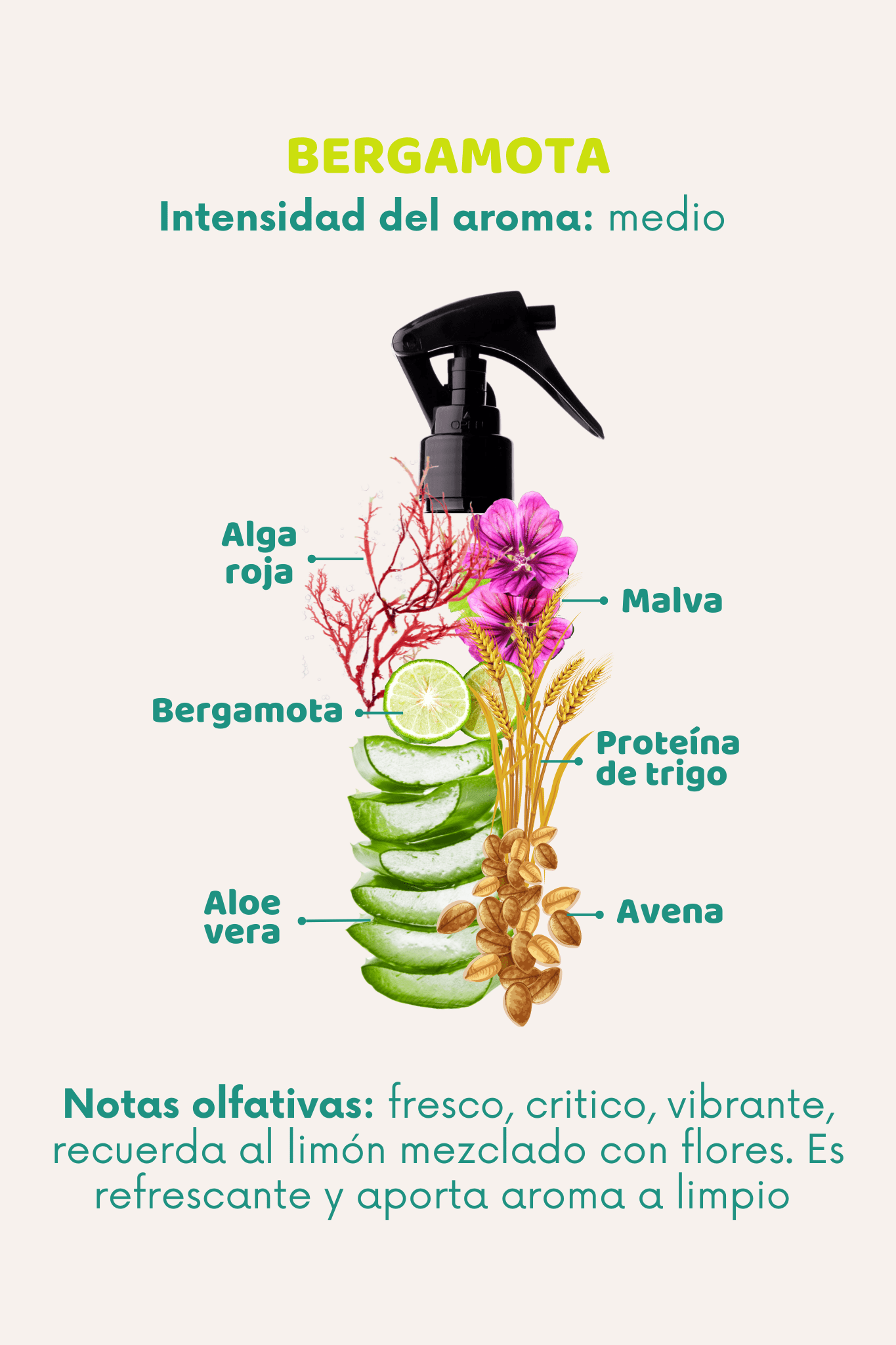 Bruma 3 en 1: Lavanda, Ylang Ylang - Doggy's corner
