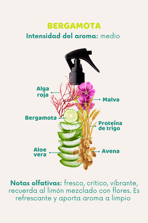 Bruma 3 en 1: Lavanda, Ylang Ylang - Doggy's corner