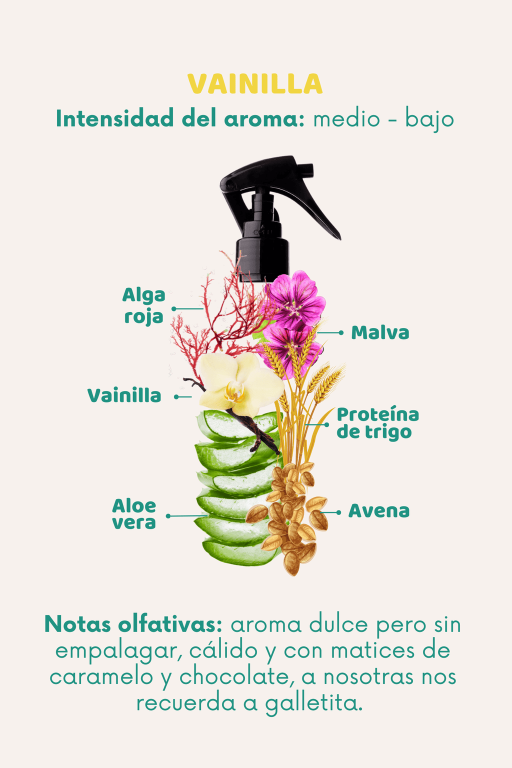 Bruma 3 en 1: Lavanda, Ylang Ylang - Doggy's corner