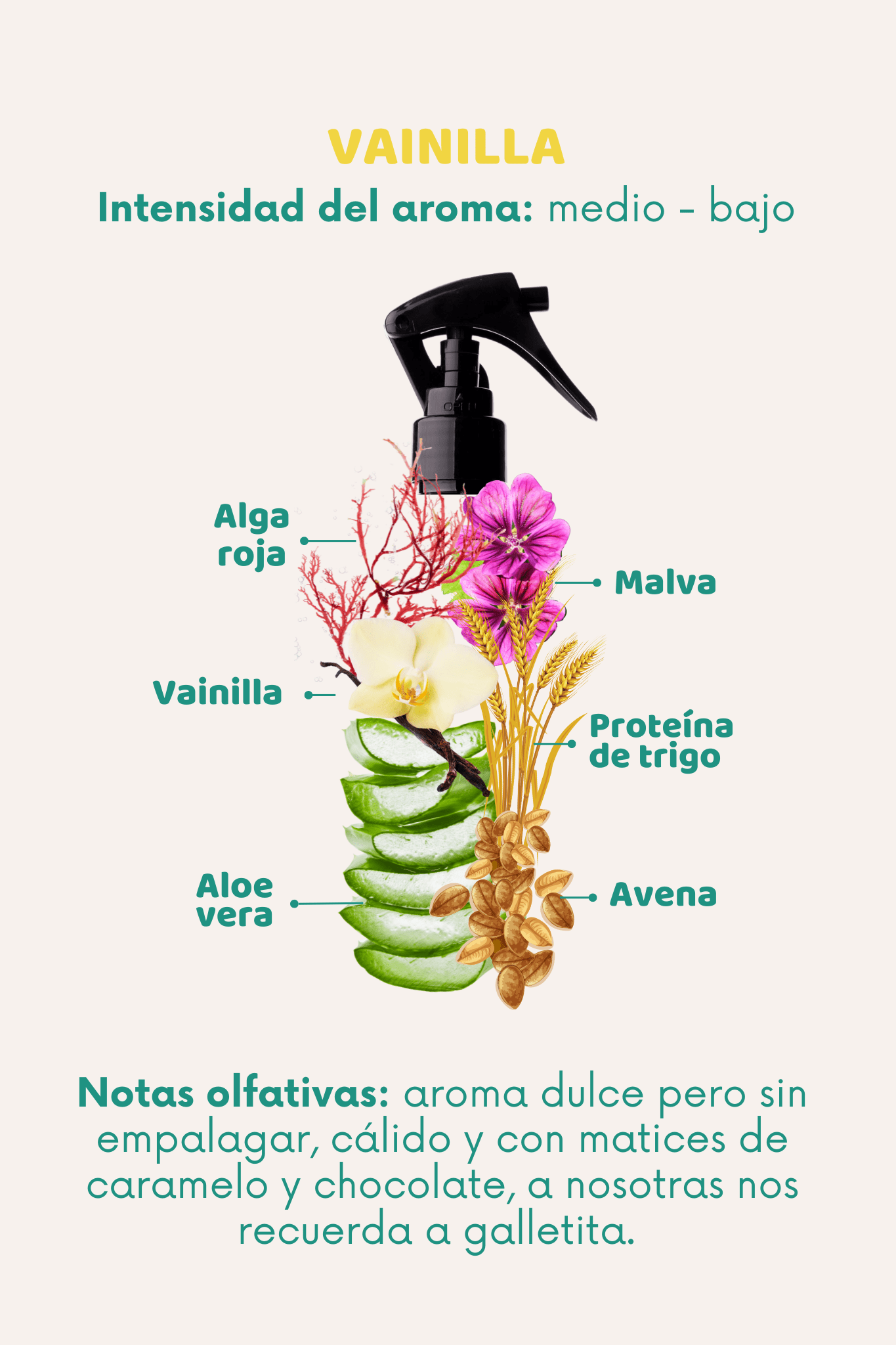 Bruma 3 en 1: Lavanda, Ylang Ylang - Doggy's corner