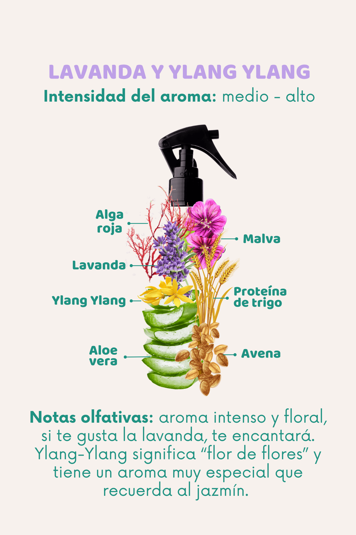Bruma 3 en 1: Lavanda, Ylang Ylang - Doggy's corner