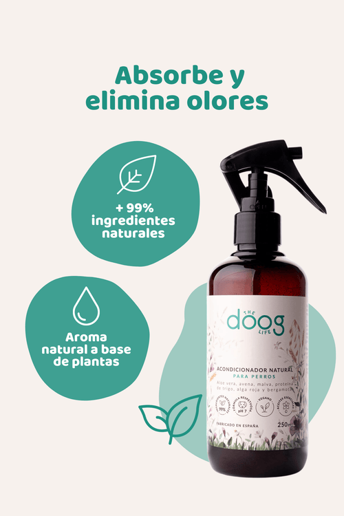 Bruma 3 en 1: Lavanda, Ylang Ylang - Doggy's corner