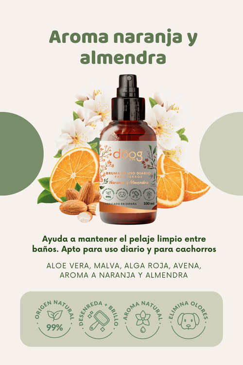 Bruma Naranja y almendra - Doggy's corner