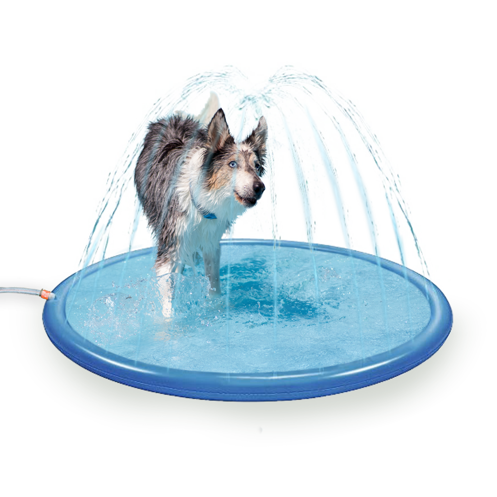 Alfombrilla rociadora refrescante Coolpets