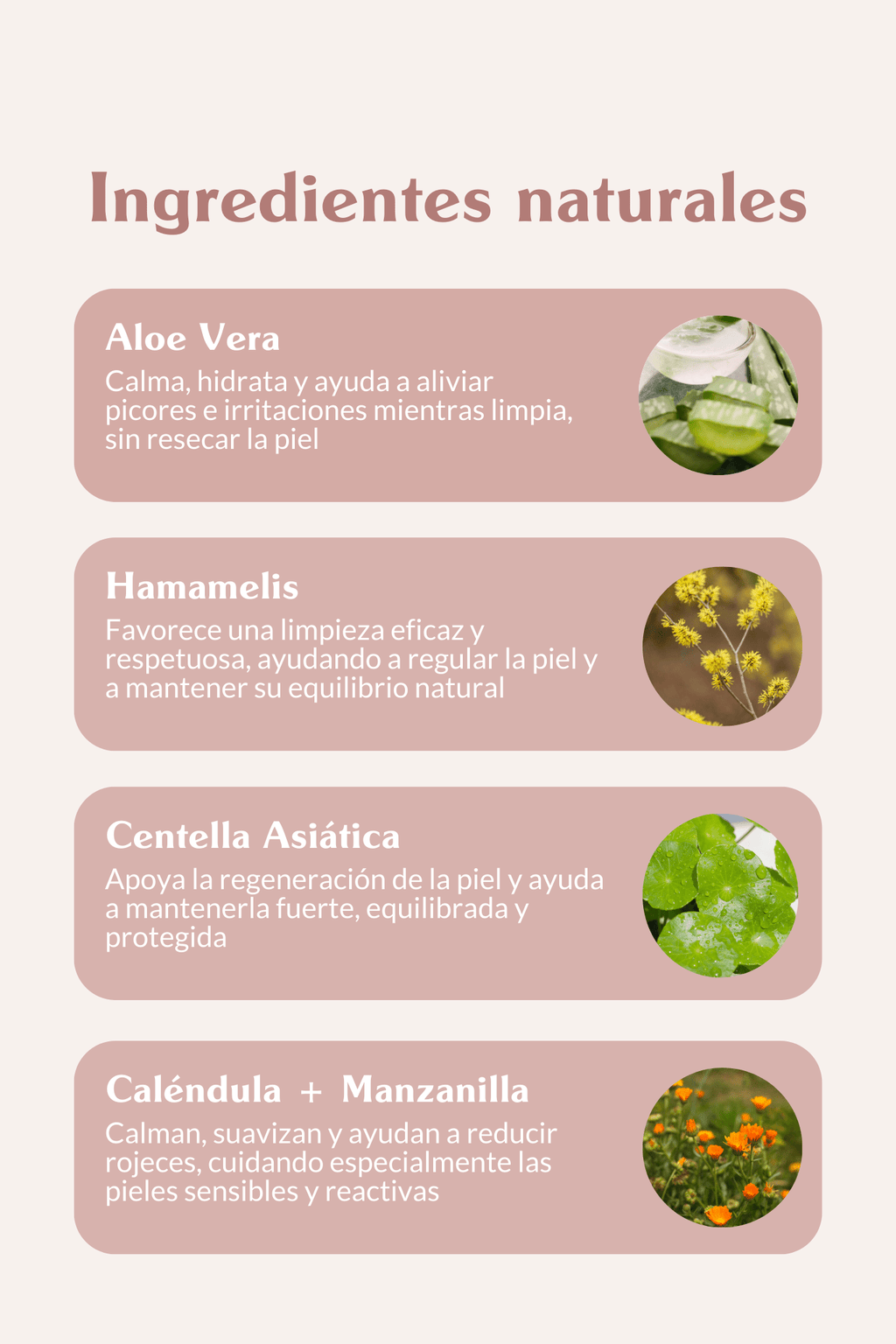 Espuma limpiadora sin aclarado - Doggy's corner