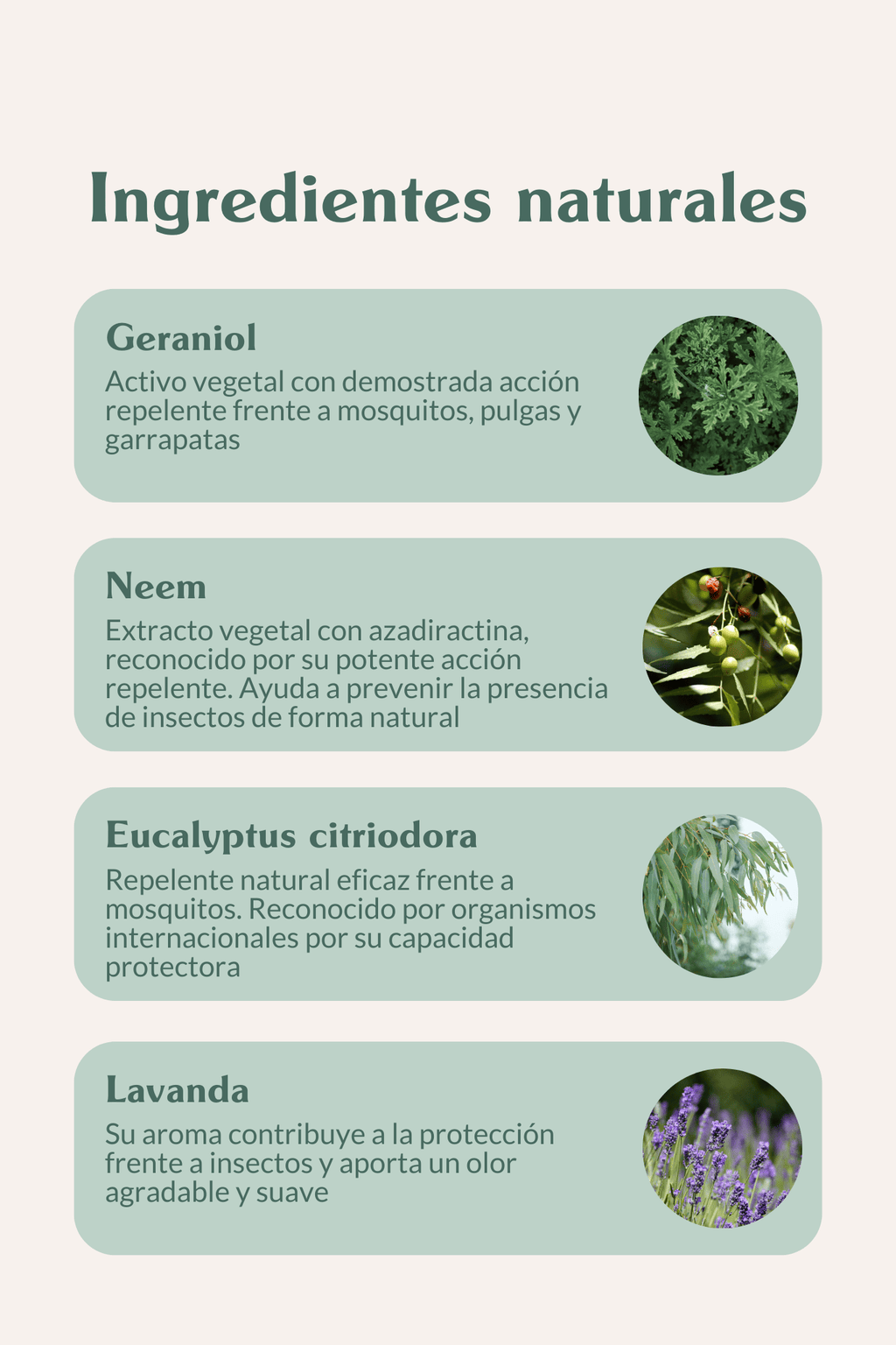 Pipetas repelentes - Doggy's corner